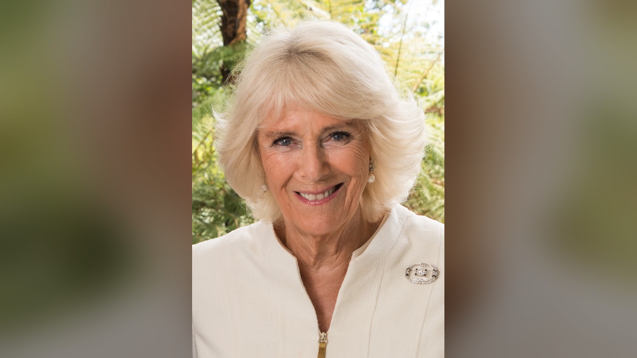 Analysis: Queen Camilla