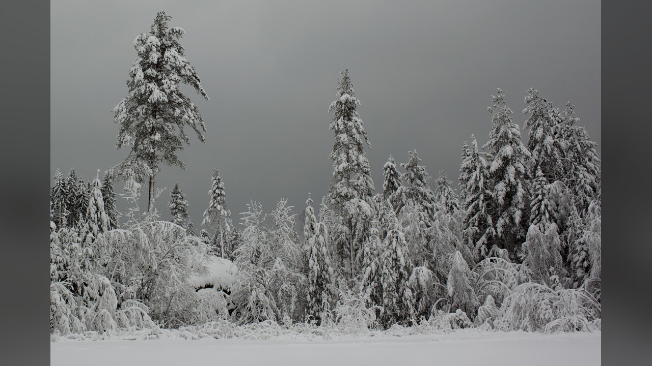 Analysis: Winter
